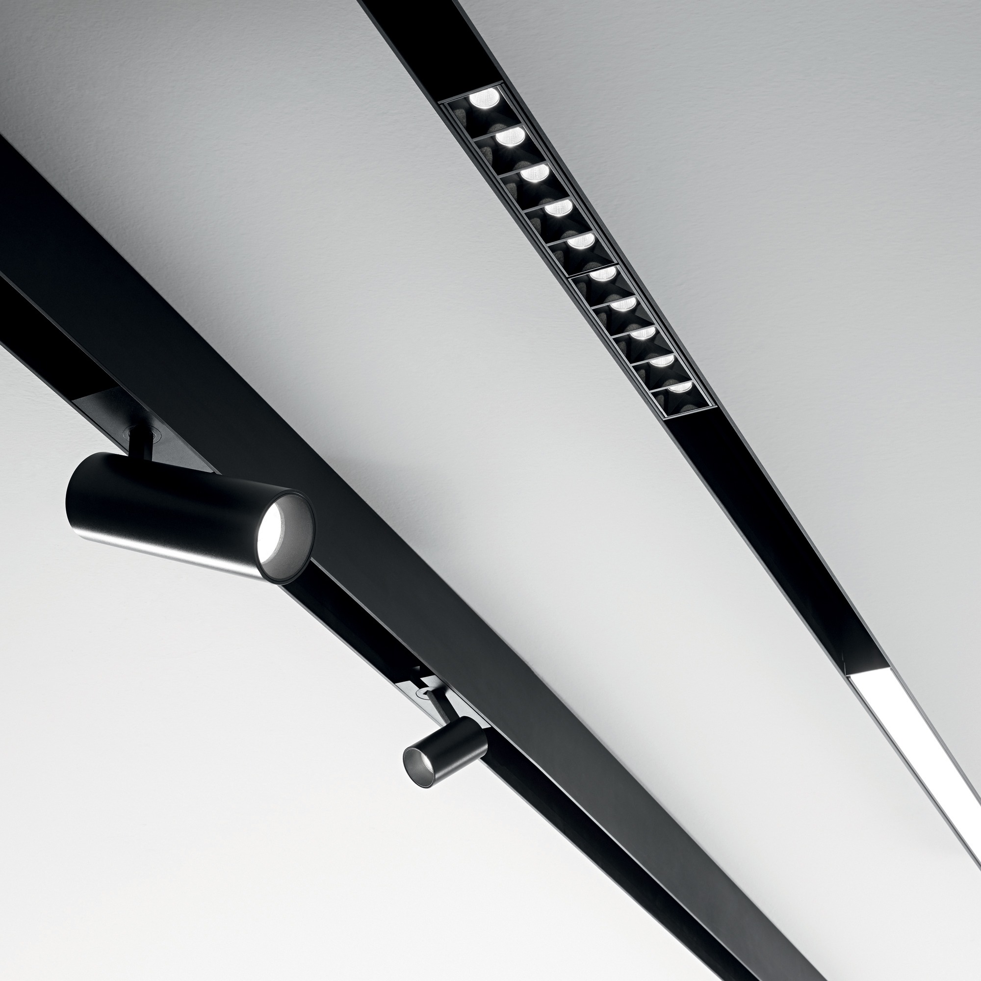 ARCA Sistema lineal de aluminio extruido compatible con una amplia gama de luminarias. ARCA está disponible en versiones para insertar en el interior de techos de cartón yeso, fijada al techo o suspendida. Se puede elegir entre distintas longitudes y es compatible con numerosos módulos de iluminación, como se muestra en las fotos de abajo, de 3000K o 4000K, con tecnología LED. Un sistema adecuado para la iluminación profesional, donde se requiere un diseño moderno, como tiendas y oficinas. Descubra la gama completa en nuestro showroom.